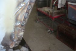 130530 67 Ford Mustang (116).JPG